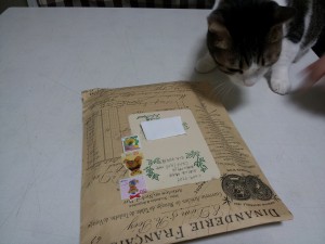 2012-12-27 23.17.06