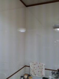 2014-01-21 13.28.31