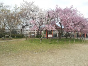 2014-04-05 09.11.16