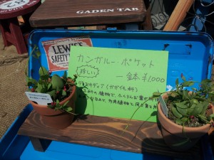 2014-04-27 10.25.44