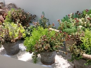 2014-07-23 11.31.11