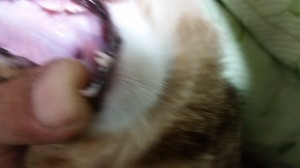 2014-11-01 22.36.37