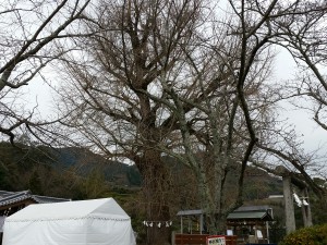 2015-01-01 14.22.17