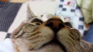 2015-01-04 21.49.48