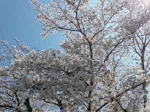 2015-04-02 11.47.53