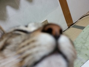 2015-12-25 21.01.11
