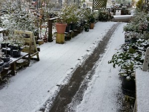 2016-01-19 10.47.39