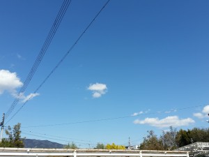 2016-03-12 12.33.35