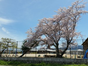 2016-04-06 10.42.45