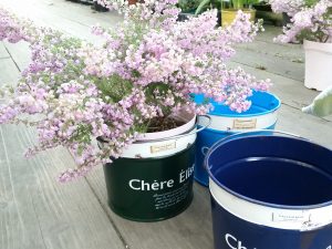 20160417_174409