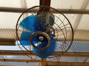 2016-05-21 10.31.20