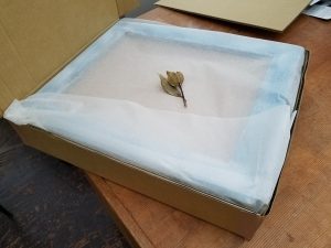 2016-07-15 18.55.48